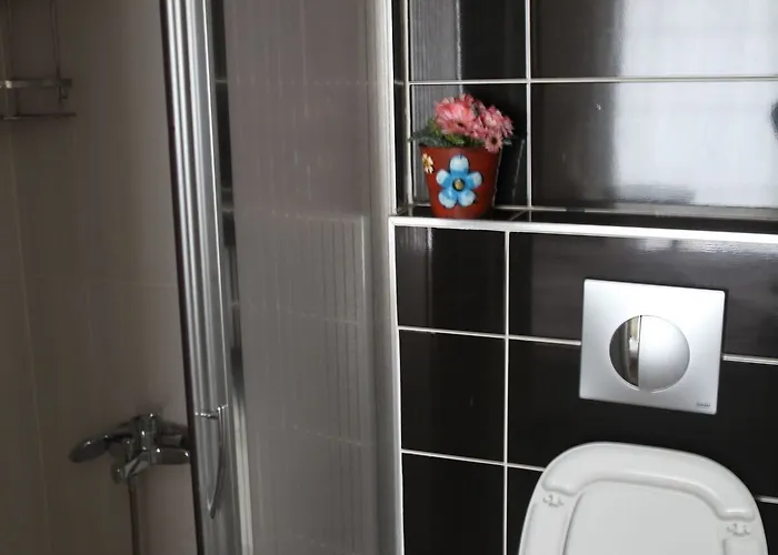 Rooster * Σμύρνη