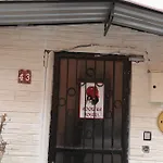 Hostel Rooster