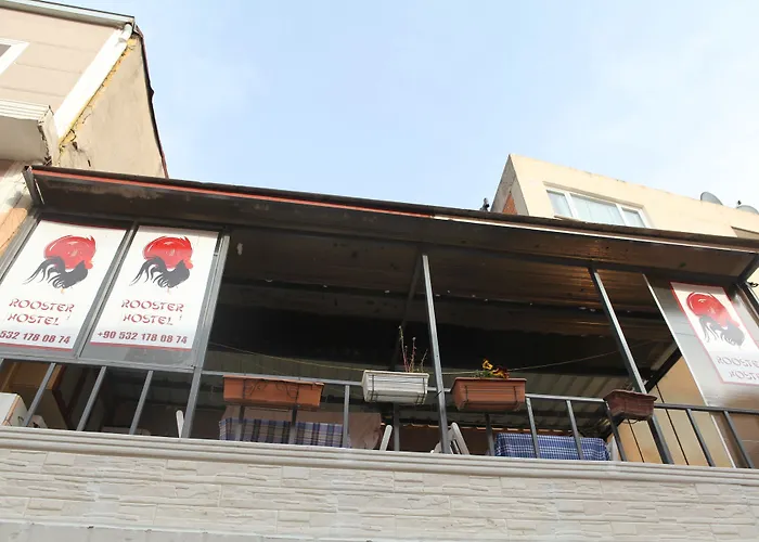 Hostel Rooster
